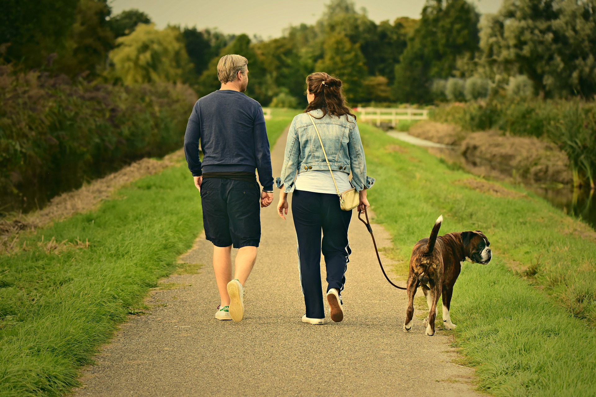 Körperliche Bewegung Spaziergang Hund